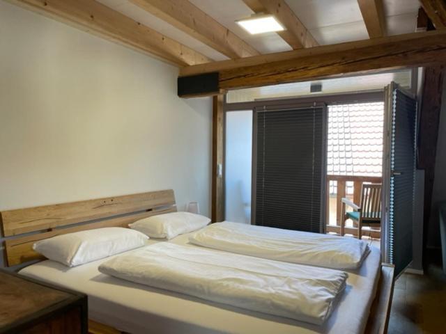 Bodenseehotel Krone & Gaestehaus 보드만루드비히샤펜 외부 사진